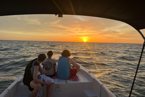 Marco Island: Dolphin, Shelling, Beach & Ten Thousand Island 4 Hour Option