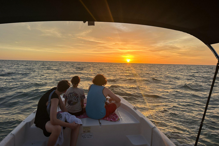 Marco Island: Dolphin, Shelling, Beach & Ten Thousand Island 4 Hour Option