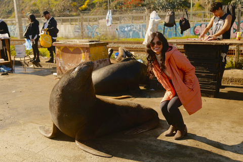 Santiago: Tour di Valparaiso, Viña del Mar e della Valle di Casablanca