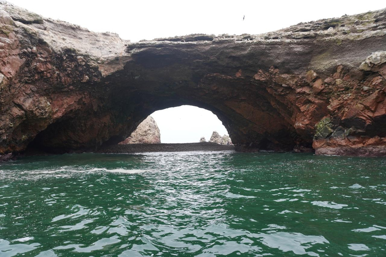 Depuis Lima : Paracas, les îles Ballestas et l&#039;oasis de Huacachina...