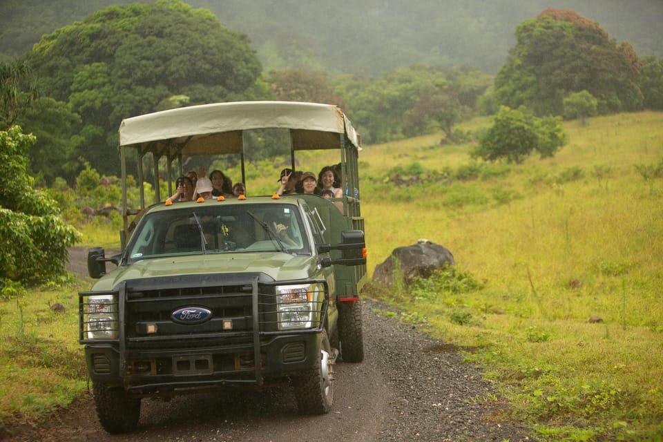 Oahu: Kualoa Open Air Jungle Expedition Tour Oahu: Kualoa Open Air Jungle Expedition Tour