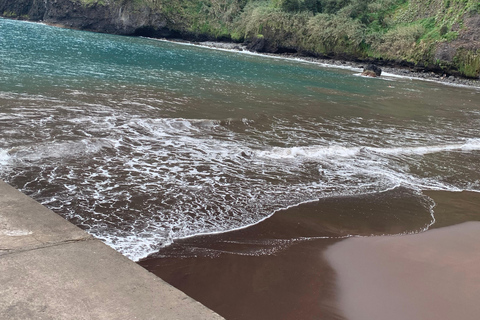 Madeira West Tour - De natuurlijke lavapoelen van Porto Moniz