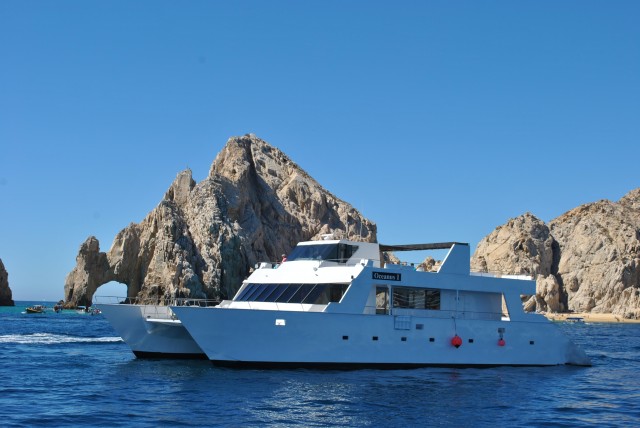 Visit Los Cabos Whale Watching Cruise with Open Bar in Cabo San Lucas