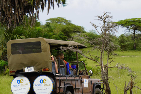 Vanuit Zanzibar: Selous G.R. safari met overnachting en vluchtengedeelde safari