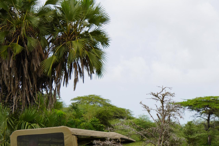 Vanuit Zanzibar: Selous G.R. safari met overnachting en vluchtengedeelde safari