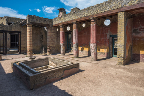 From Naples: Archeological day to Pompeii and Herculaneum