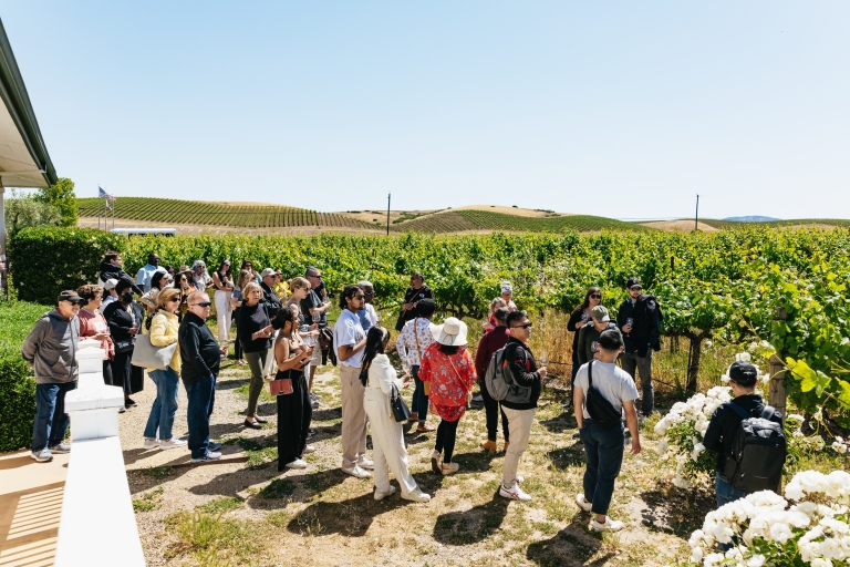 San Francisco: wijntour Napa en Sonoma Valley