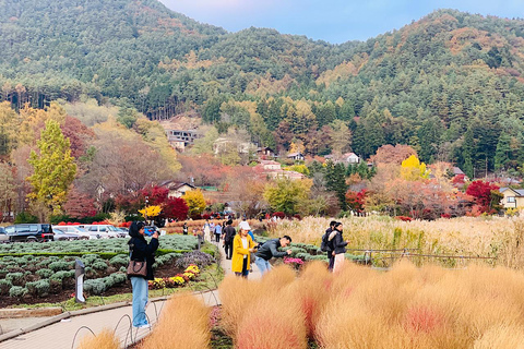 Excursión Privada Guiada por el Monte Fuji y Hakone