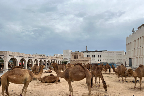 Doha: Private City Highlights Tour with Local Guide
