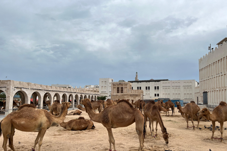 Doha: Private City Highlights Tour with Local Guide