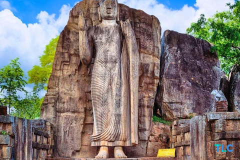 From Anuradhapura To Sigiriya Transfer with Sightseeing Stop