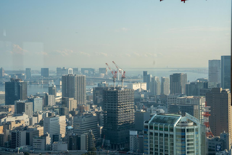 Tokyo: 1-dagars höjdpunkter med privat bil och guide