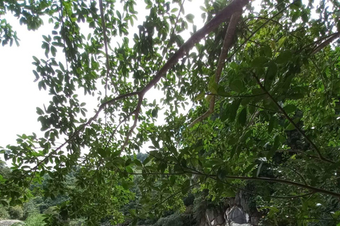 From Manila: Mount Daraitan Hike with Private Transfer