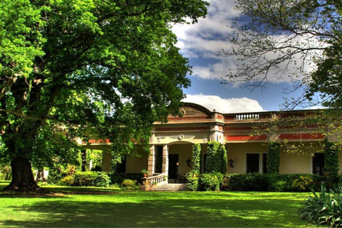 从布宜诺斯艾利斯出发：埃尔翁布德阿雷科（含接送服务）从布宜诺斯艾利斯出发：阿雷科的奥姆布树，含接送服务