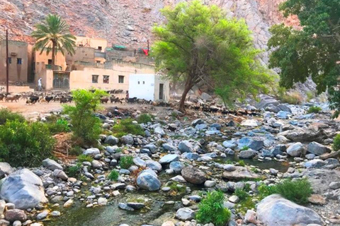 Day Trip to Wadi Bani Awf,Balad Sayt,Nakhal Fort-Hot Spring