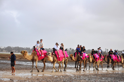 Djerba: Camel Ride to the Blue Lagoon at Sunset