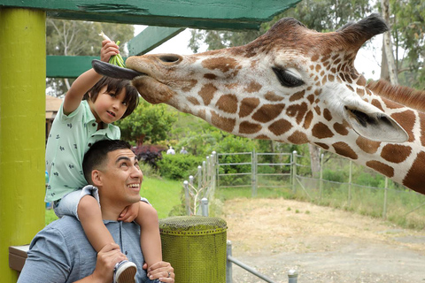San Francisco: Six Flags Discovery Kingdom Admission Ticket Six Flags: Discovery Kingdom Good Any Day Ticket