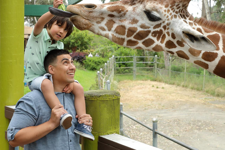 San Francisco: Six Flags Discovery Kingdom Admission Ticket Six Flags: Discovery Kingdom Good Any Day Ticket