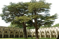 Salisbury, Quirky self-guided smartphone heritage walks - Housity