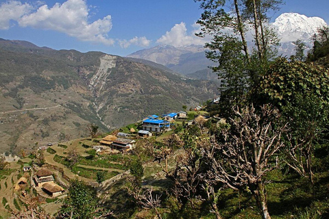 Trek van Pokhara naar Dhampus Australisch kamp