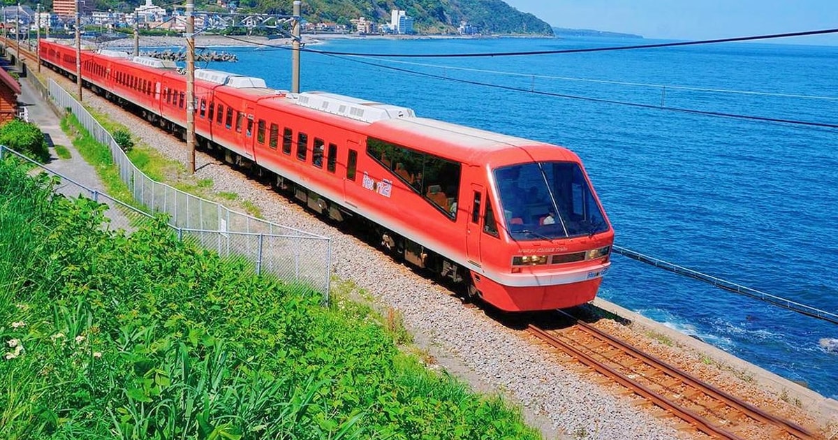 Tokyo: Izu Scenic Oceanview Train, Volcano, Coast Day Trip - From $89