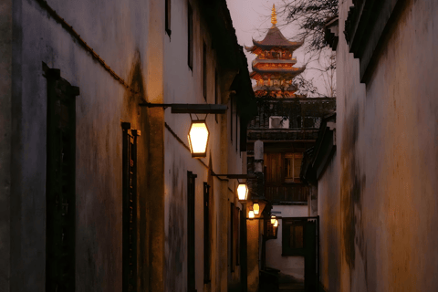 From Hangzhou: Wuzhen Water Town Day Trip & Night Lights