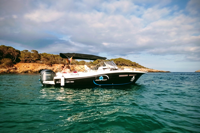 Ibiza: "sunset" tour from the sea in a private boat