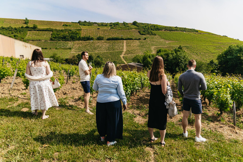 From Paris: Private Sancerre Wine Tour w 10 Tastings & Lunch
