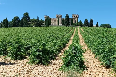 Aix-en-Provence: Avignon Tour & Chateauneuf-du-Pape Tasting