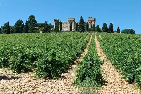 Aix-en-Provence: Avignon Tour & Chateauneuf-du-Pape Tasting