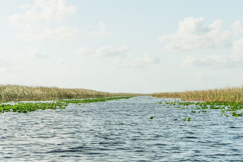 From Miami: Everglades Airboat, Wildlife Show & Bus Transfer Depart from Downtown Miami (Tour in Spanish)