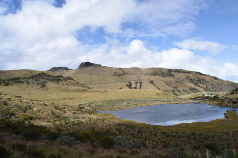 Bogotá to Cali: Private Luxury Journey through the Andes and Coffee