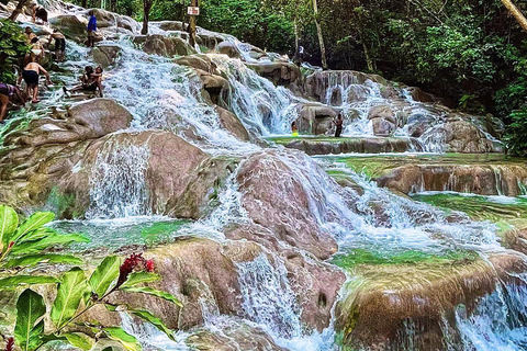 Bob Marley, Dunn’s River Falls and Luminous Lagoon Tour From Grand Palladium/ Lady Hamilton