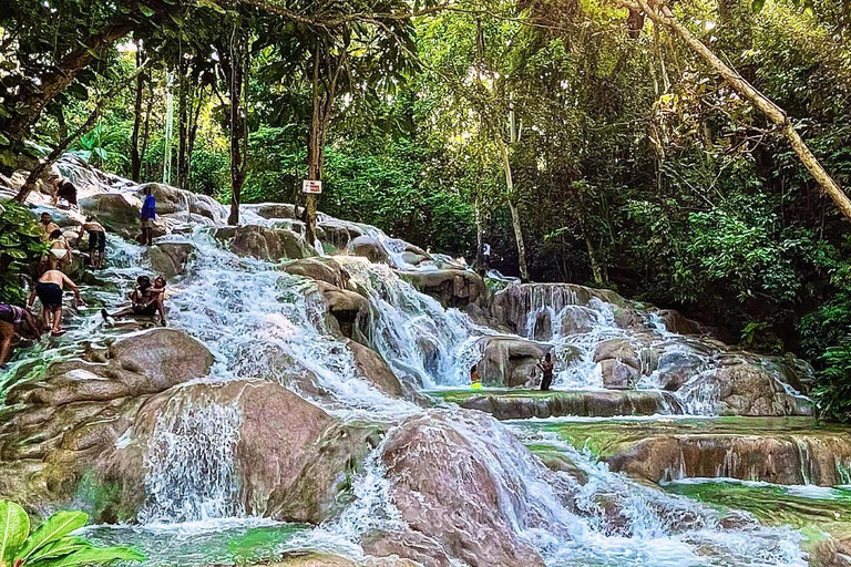 Bob Marley, Dunn’s River Falls and Luminous Lagoon Tour From Grand Palladium/ Lady Hamilton