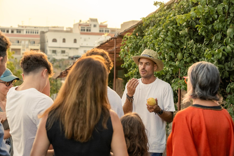 Gran Canaria: Agüimes, Gofio Mill &amp; Eco Farm Food Tasting