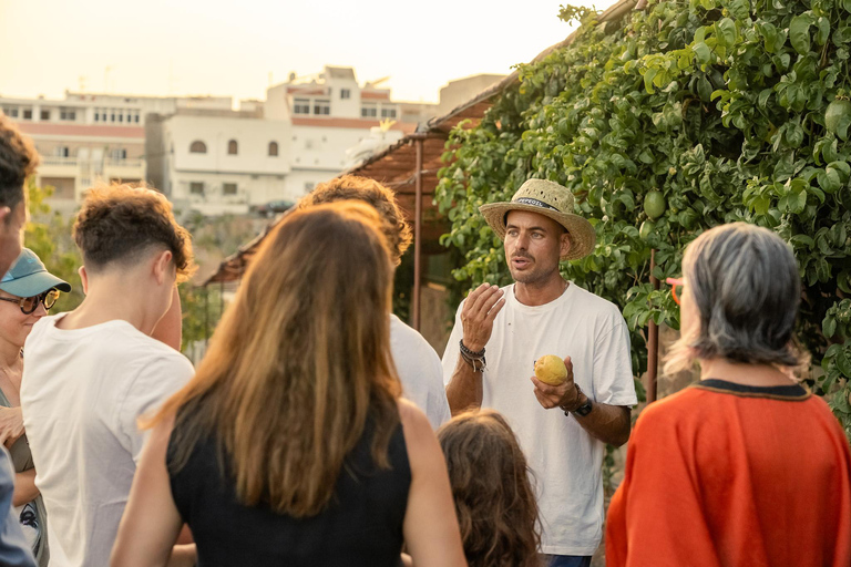 Gran Canaria: Agüimes, Gofio Mill &amp; Eco Farm Food Tasting