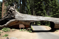 Hiking | California things to do in Shaver Lake