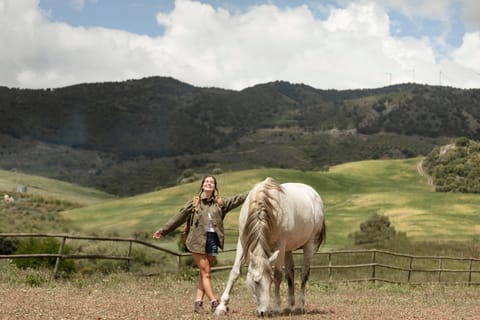 Killarney National Park: Guided Horse Trek - Image 2