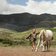 Killarney National Park: Guided Horse Trek Killarney National Park: Guided Horse Trek