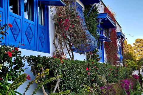 Carthage & Sidi Bou Said Private Tour