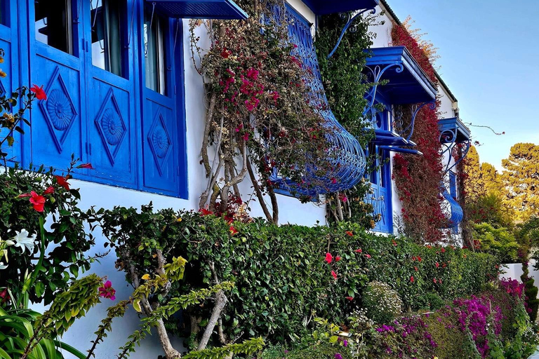 Carthage & Sidi Bou Said Private Tour