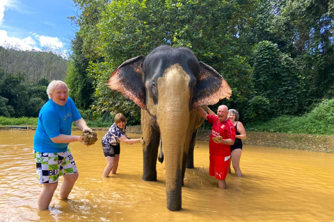Khao Lak: Khao Sok Elephant Sanctuary and Night Jungle Walk Khao Sok Elephant Sanctuary and Night Jungle Walk