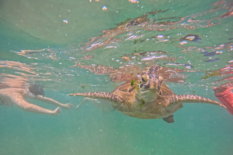Mirissa Snorkeling Tour with Turtle Adventure and Free Video