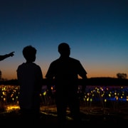 Uluru: Field of Light Sunrise Tour with Hot Drinks