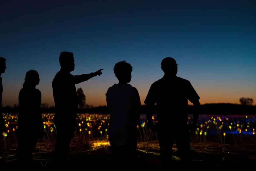 Uluru: Field of Light Sunrise Tour mit heißen Getränken. Foto: GetYourGuide Uluru: Field of Light Sunrise Tour mit heißen Getränken. Foto: GetYourGuide