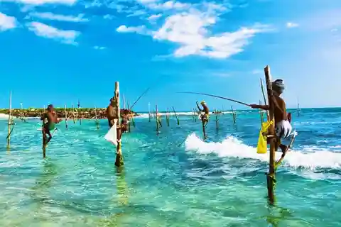 Galle Private Day Trip with River Safari & Stilt Fishermen