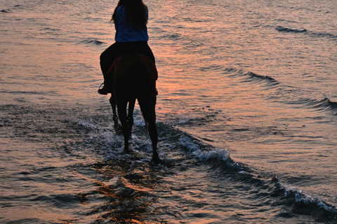 Passeios a cavalo em Omã