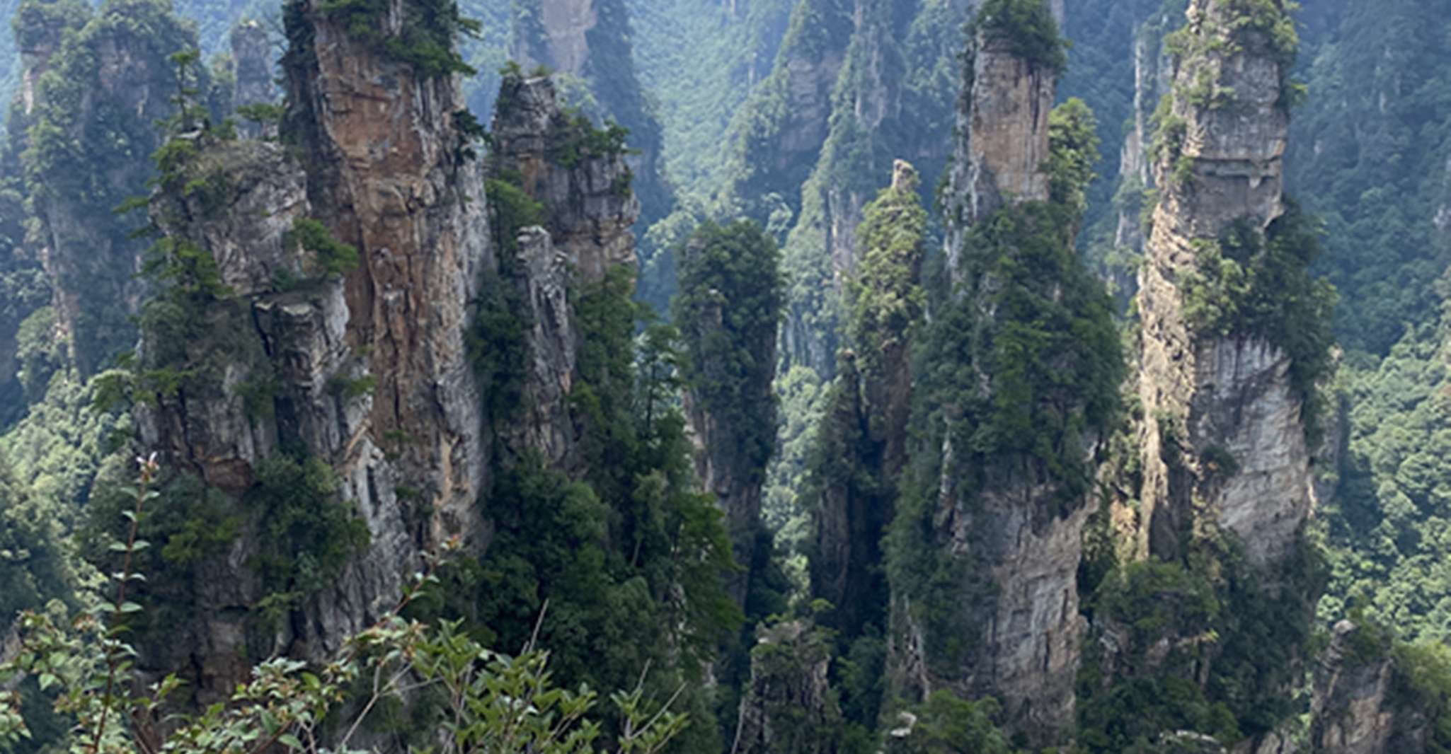 Visite d'une journée privée au parc forestier national de Zhangjiajie - Hizvo