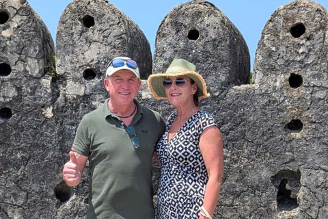Zanzibar: Stone Town Walking Tour with Guide No Transfer no Entry fee