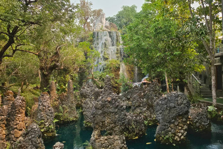 Chiang Mai:Wat Pha Lat,Doi Suthep&Sticky Waterfall Day Trip